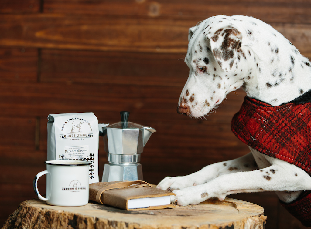 A cég reklámarca természetesen Molly, a mentett dalmata