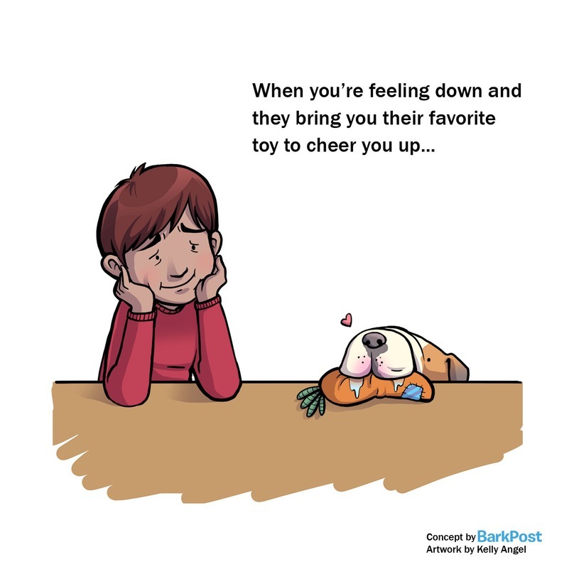 Kutyád mindent megtesz, hogy felvidítson?