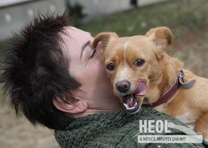 Botka Timi állatmentő