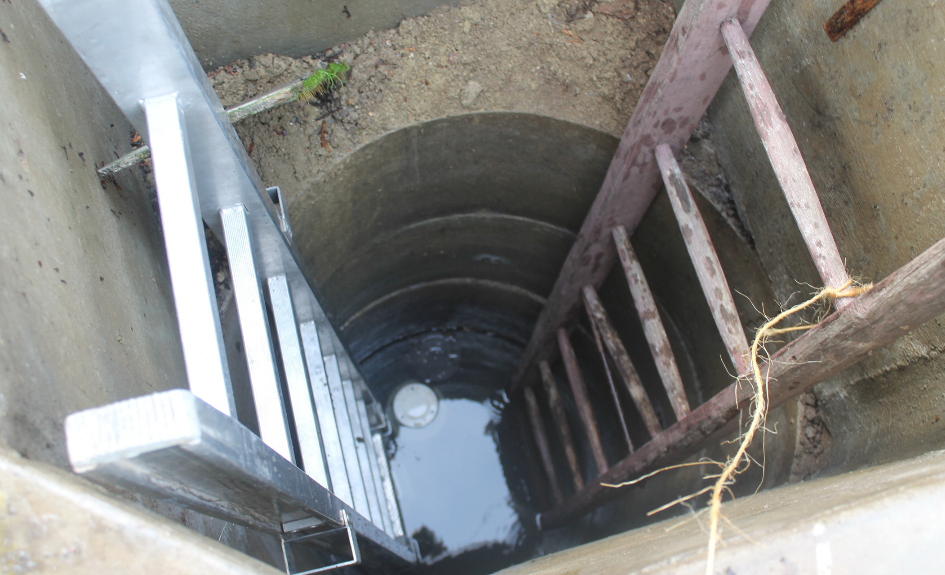 Létrákkal és mentőkötelekkel húzták ki a kutyát a kútból