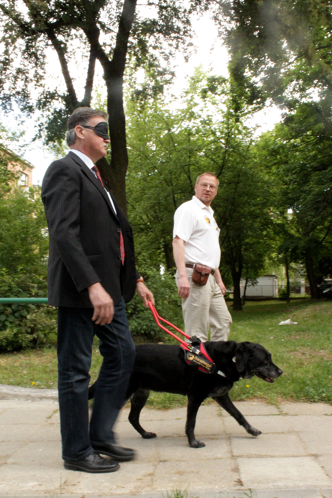 Dobson Tibor kipróbálta, milyen az, amikor egy vakvezető kutya vezeti 