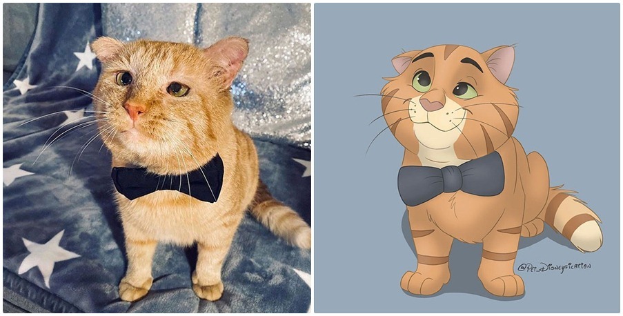 Pet Disneyfication 8