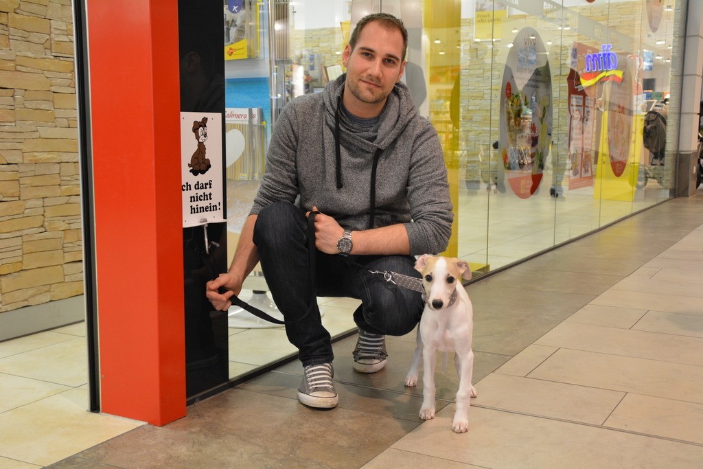 Sok helyen fogadják szívesen a kutyákat - a táblák vagy matricák minden esetben jelzik, hova lehet, vagy nem lehet belépni kutyával