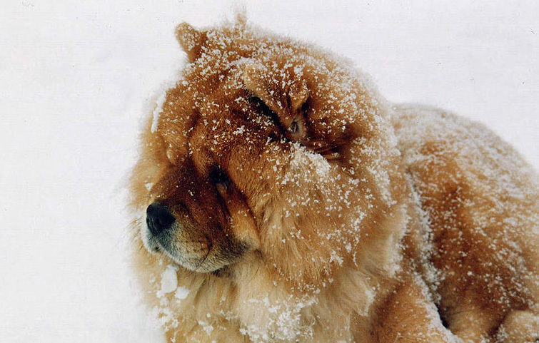 Ő biztosan nem fázik