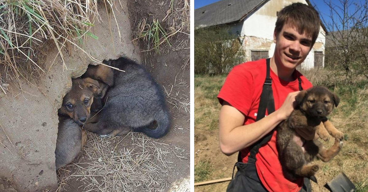 Kölyökkutya mentés