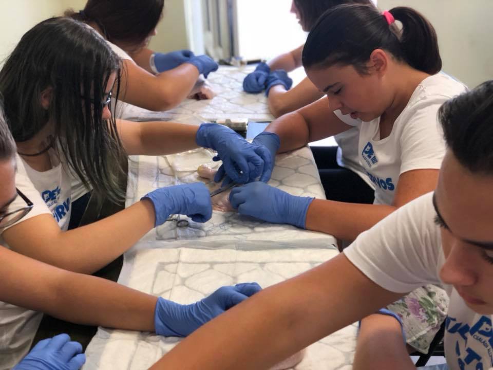 A sebek összevarrását csirkecombon gyakorolták a nagyok