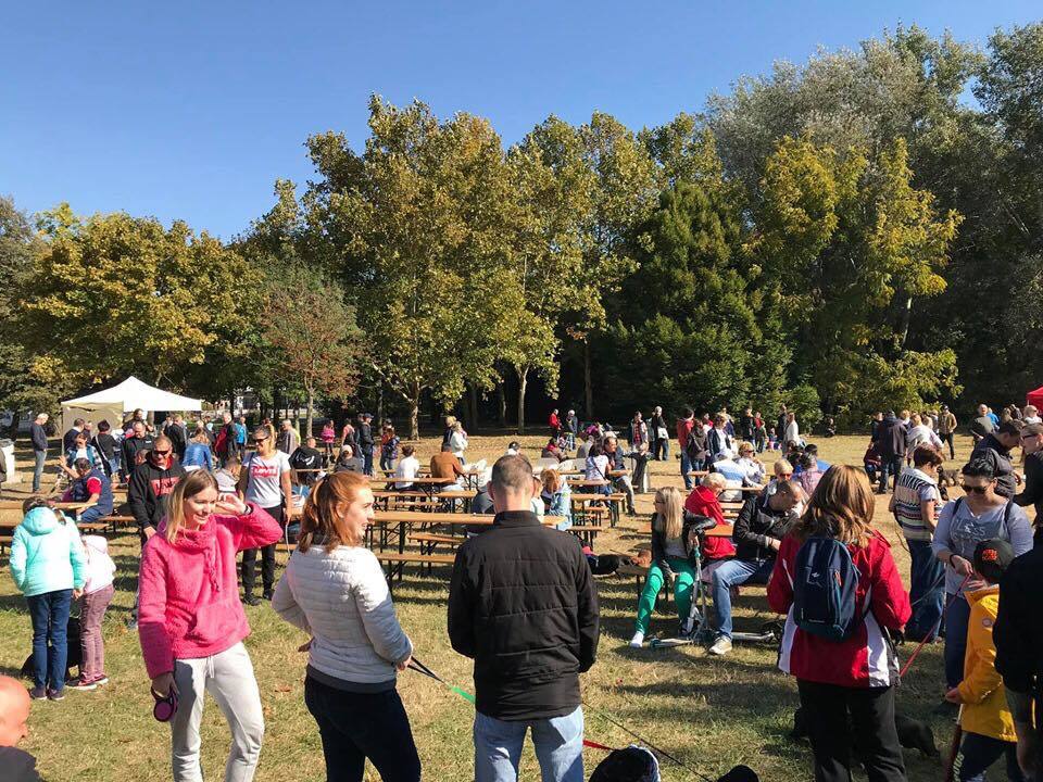 Minden évben nagy baráti közösség gyűlik össze a Hivatalos Tacskó Találkozón