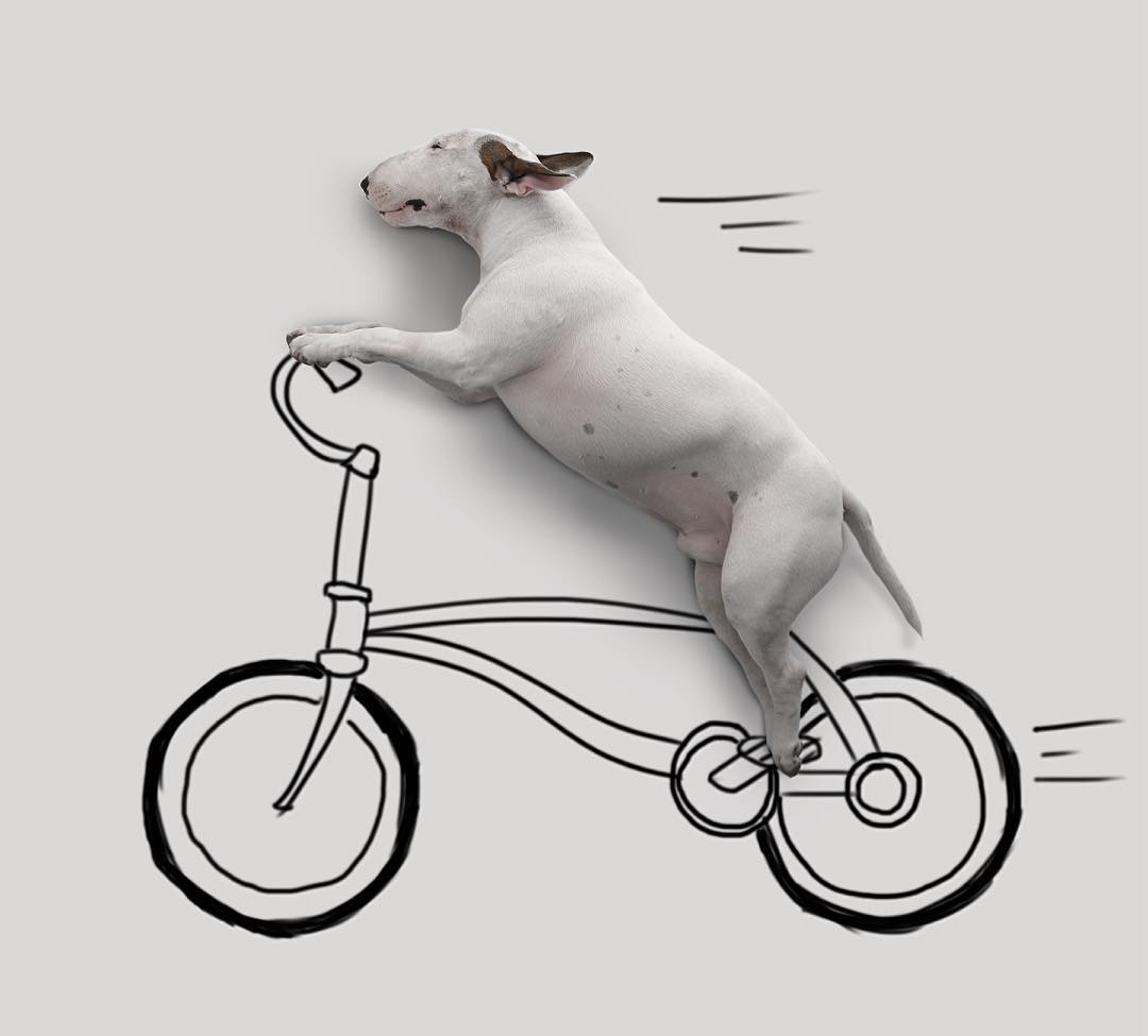 Jimmy még biciklizni is tud