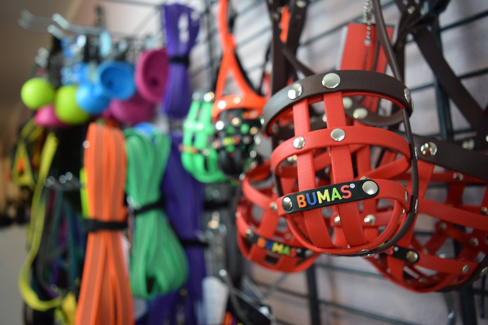 A BUMAS weboldalán magunk tervezhetjük meg egyedi színkombinációban a kedvencünk szájkosarát