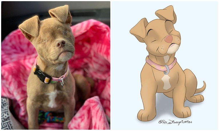 Pet Disneyfication 9