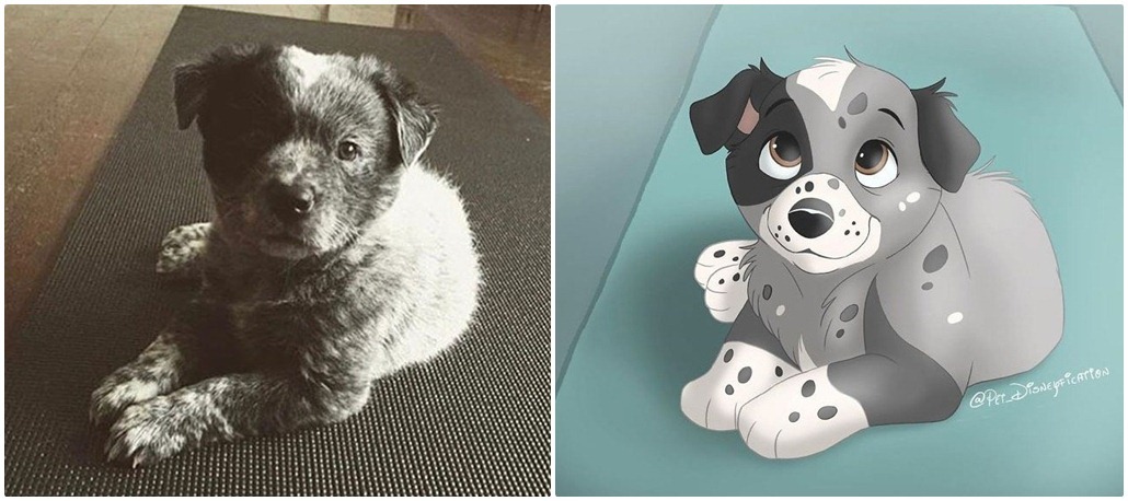 Pet Disneyfication 12