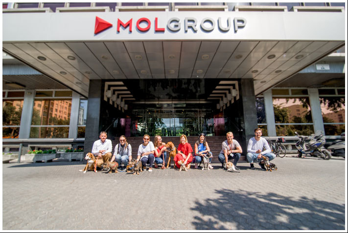 Kutyabaráttá vált a MOL székháza