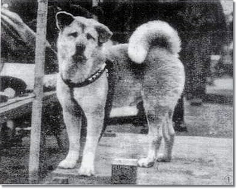 Télen, nyáron rendületlenül várt