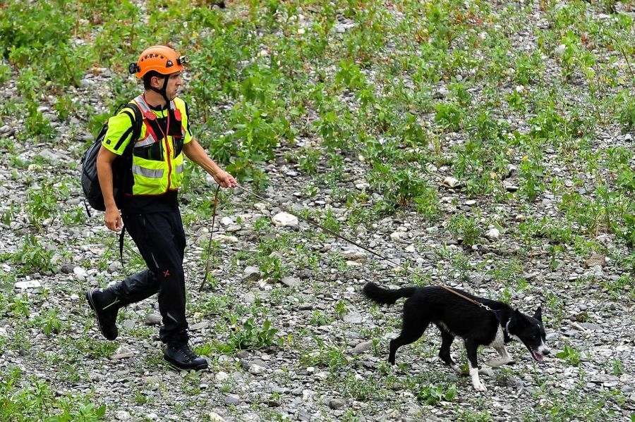 A kutyák hatalmas segítséget jelentenek a vészhelyzetben
