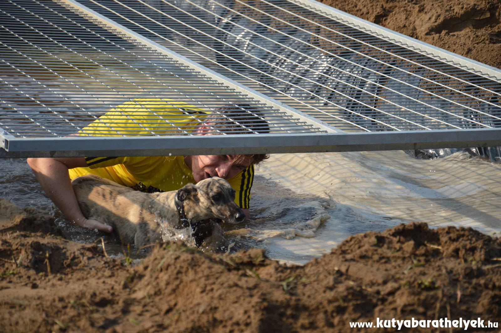 Bármilyen fajtájú és méretű kutyával lehet indulni a Hard Dog Race-en