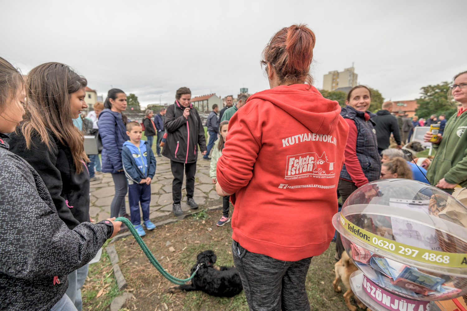 Az állatvédő szervezetek sátrainál folyamatos volt az érdeklődés
