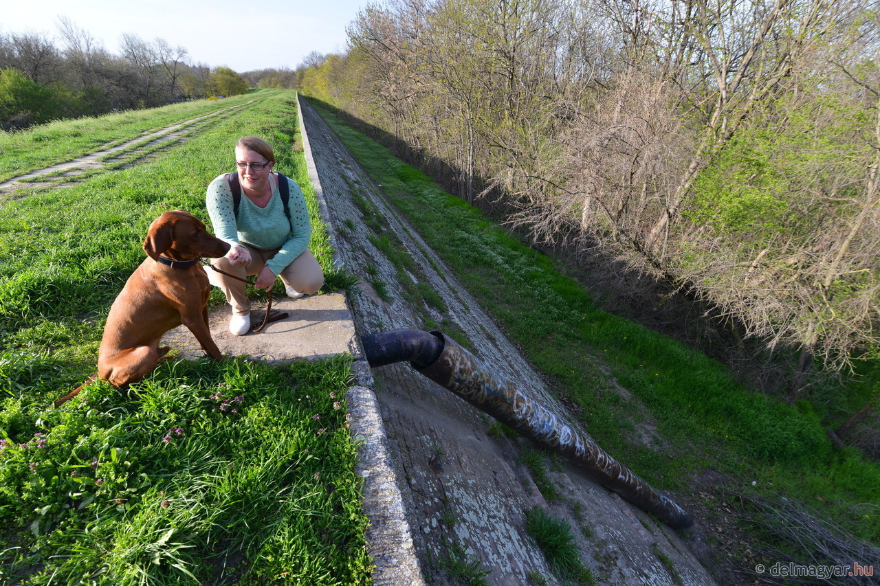 A meredek töltés oldalában vette észre Báró az eszméletlen férfit
