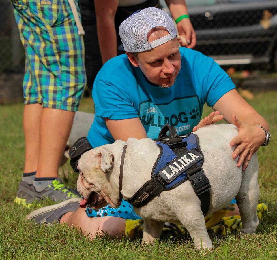 Lalika, a mentett bulldog