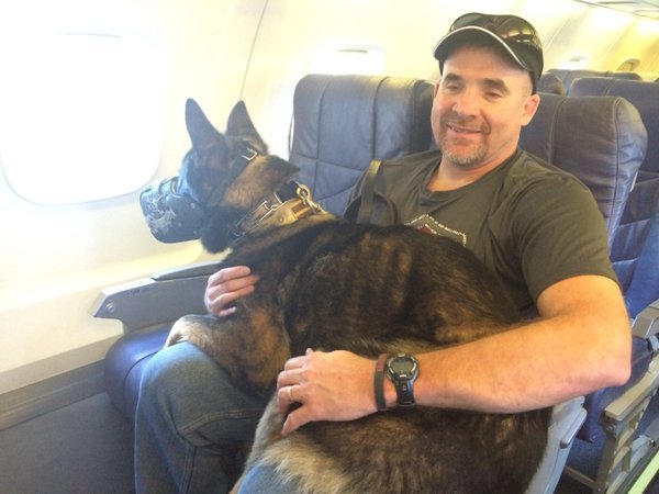 Tuko repülőgépen utazott új helyére - méghozzá az utastérben!