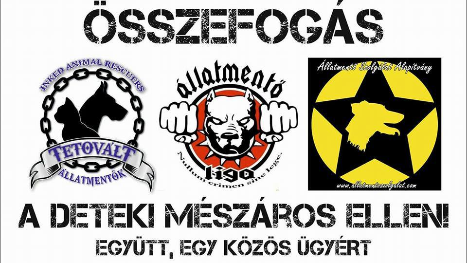 Az állatvédő szervezetek összefogtak a méltó büntetés kiszabásáért