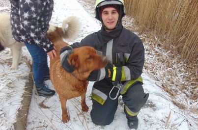 Az eb, és egyik megmentője