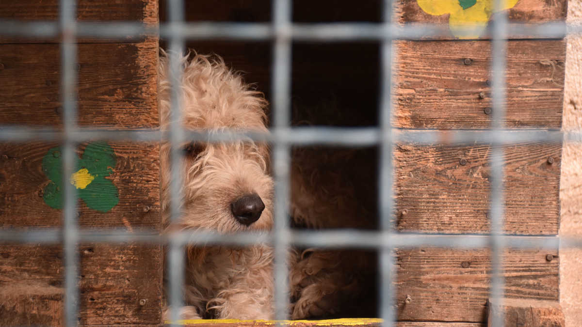 Adakozó Kedd: a karácsony előtti időszakban gondolj a nélkülözőkre is!