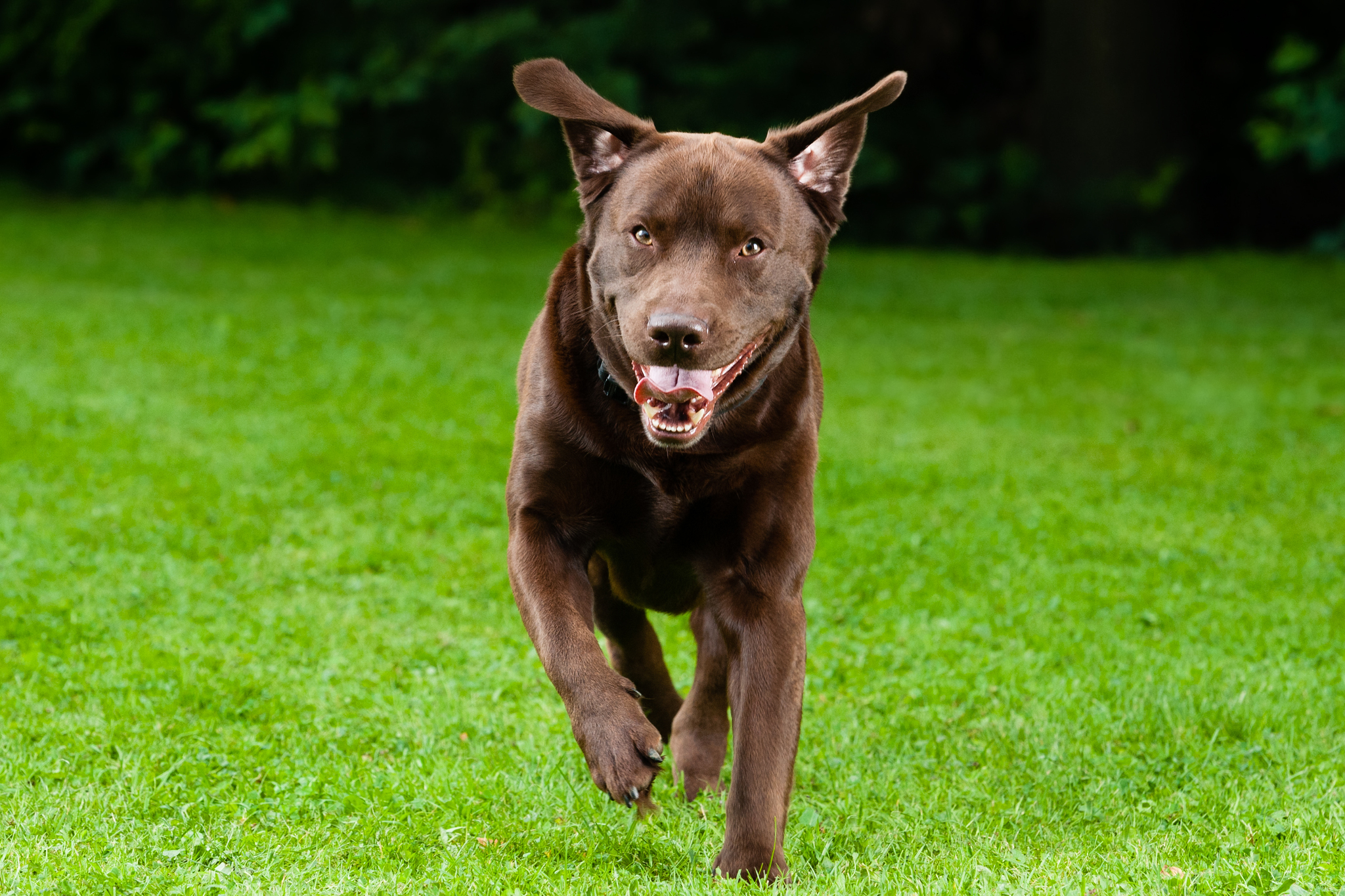 Sok játék, mozgás kell a kiegyensúlyozottsághoz! Sok játék, mozgás kell a kiegyensúlyozottsághoz!