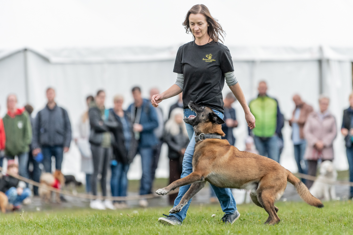 A Kutyatanoda tanítványai is bemutatták tudásukat