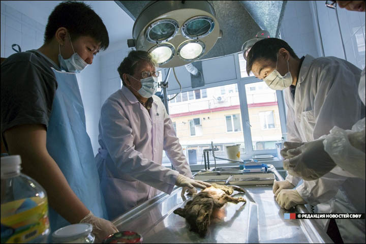 Orvosok a különleges lelettel