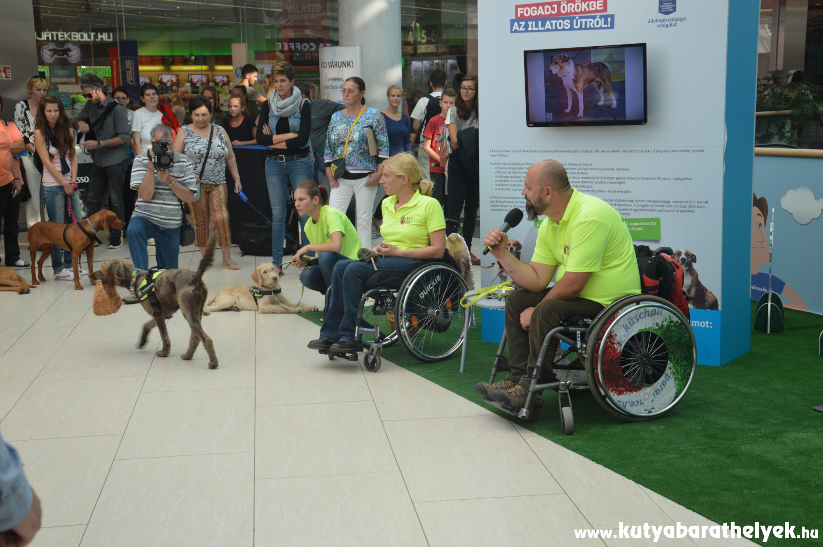 NEO Magyar Segítőkutya Egyesület bemutatója