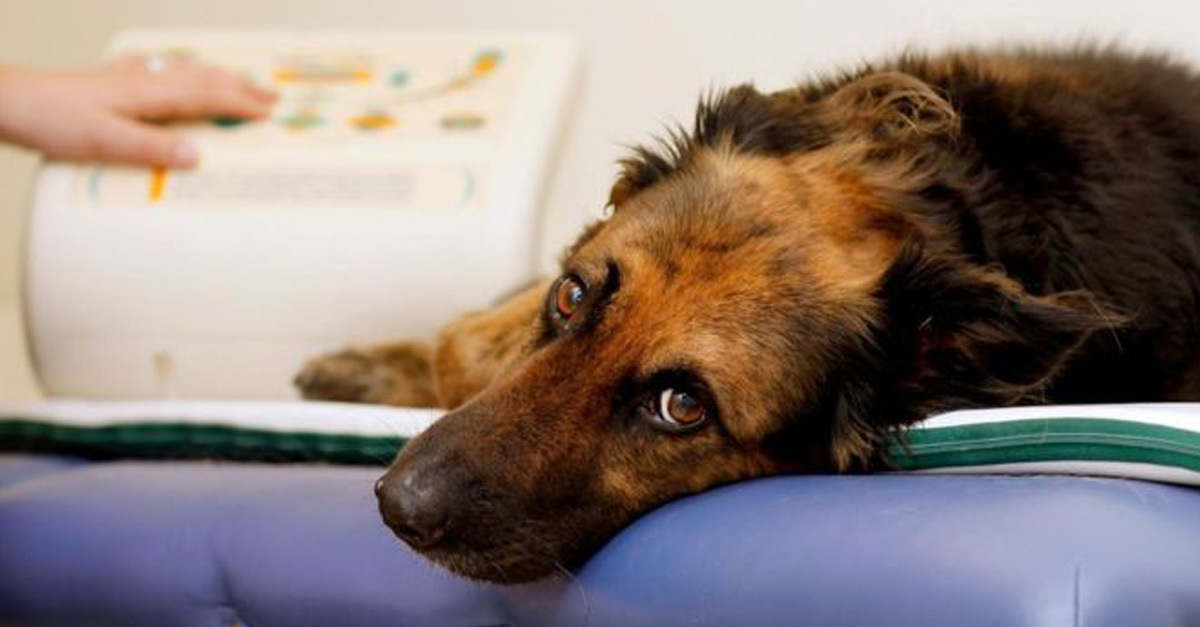 Eddig csak biopsziával lehetett megállapítani a májbetegséget, ami azonban nem csak költséges, de komplikációval is járhat