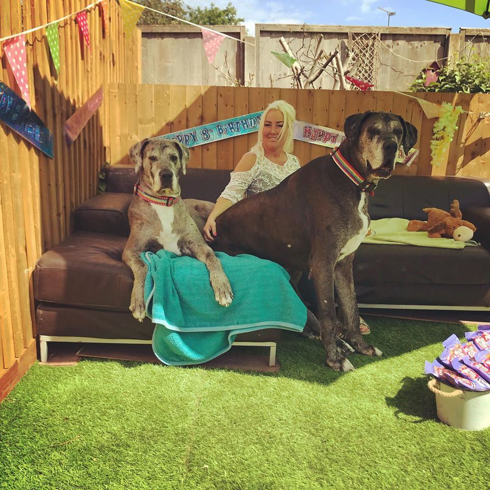 Freddy és Fleur különleges születésnapi partit kapott