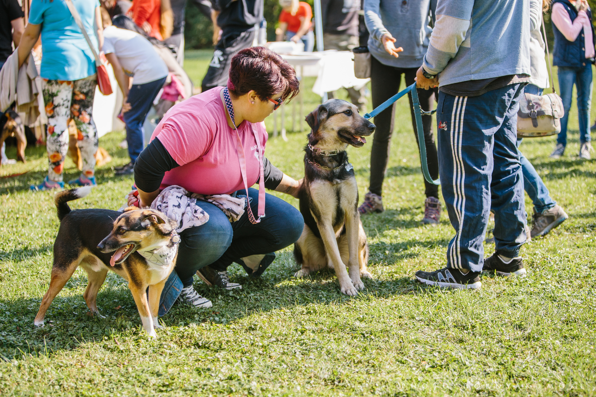 A gazdik és a kutyusok is új barátokat szereztek a találkozón