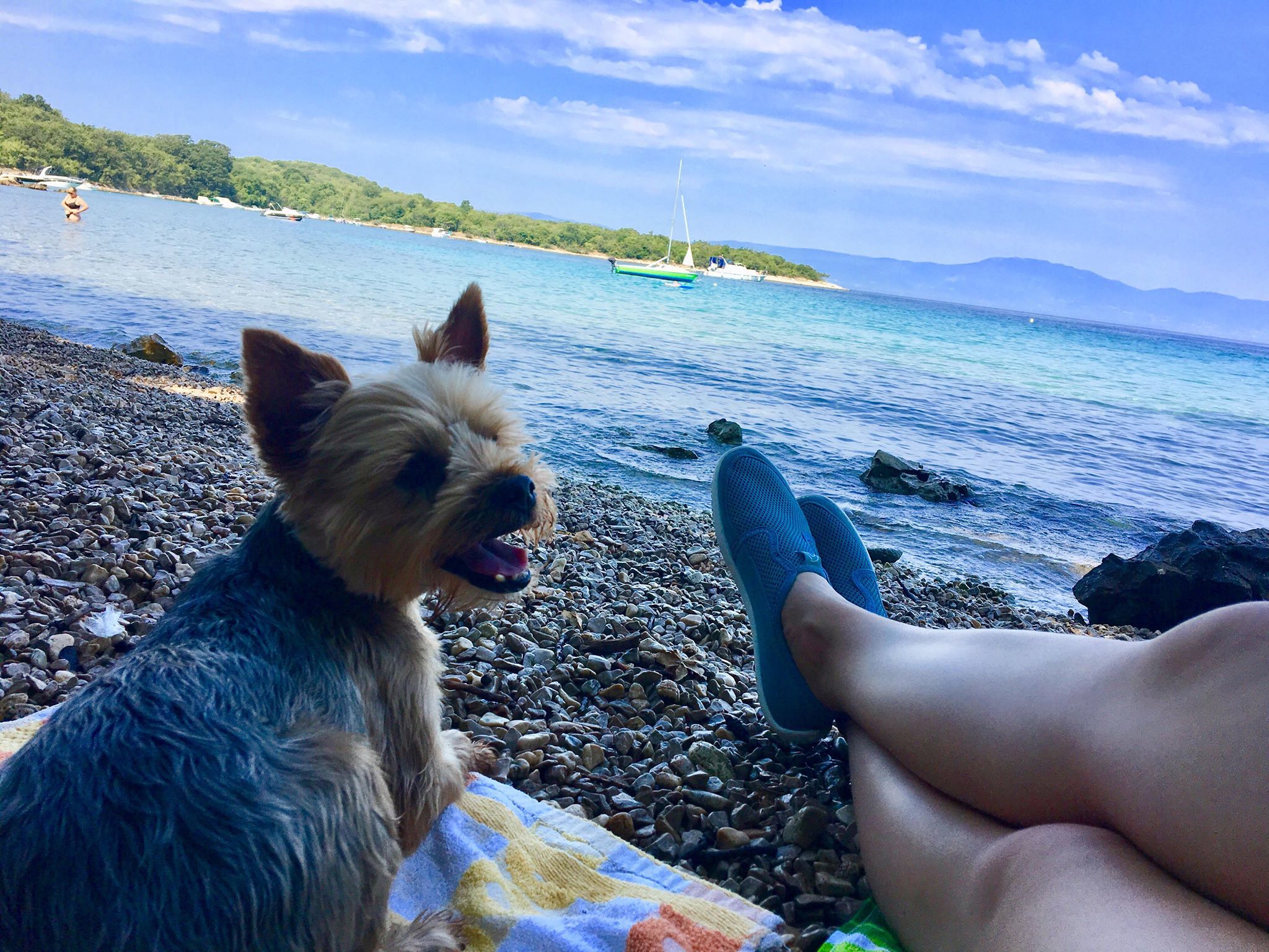 Apró kavicsos, köves partokon a gazdinak ajánlott a vízi cipő viselése. A kutya mancsát érdemes a sós víz után krémezni.