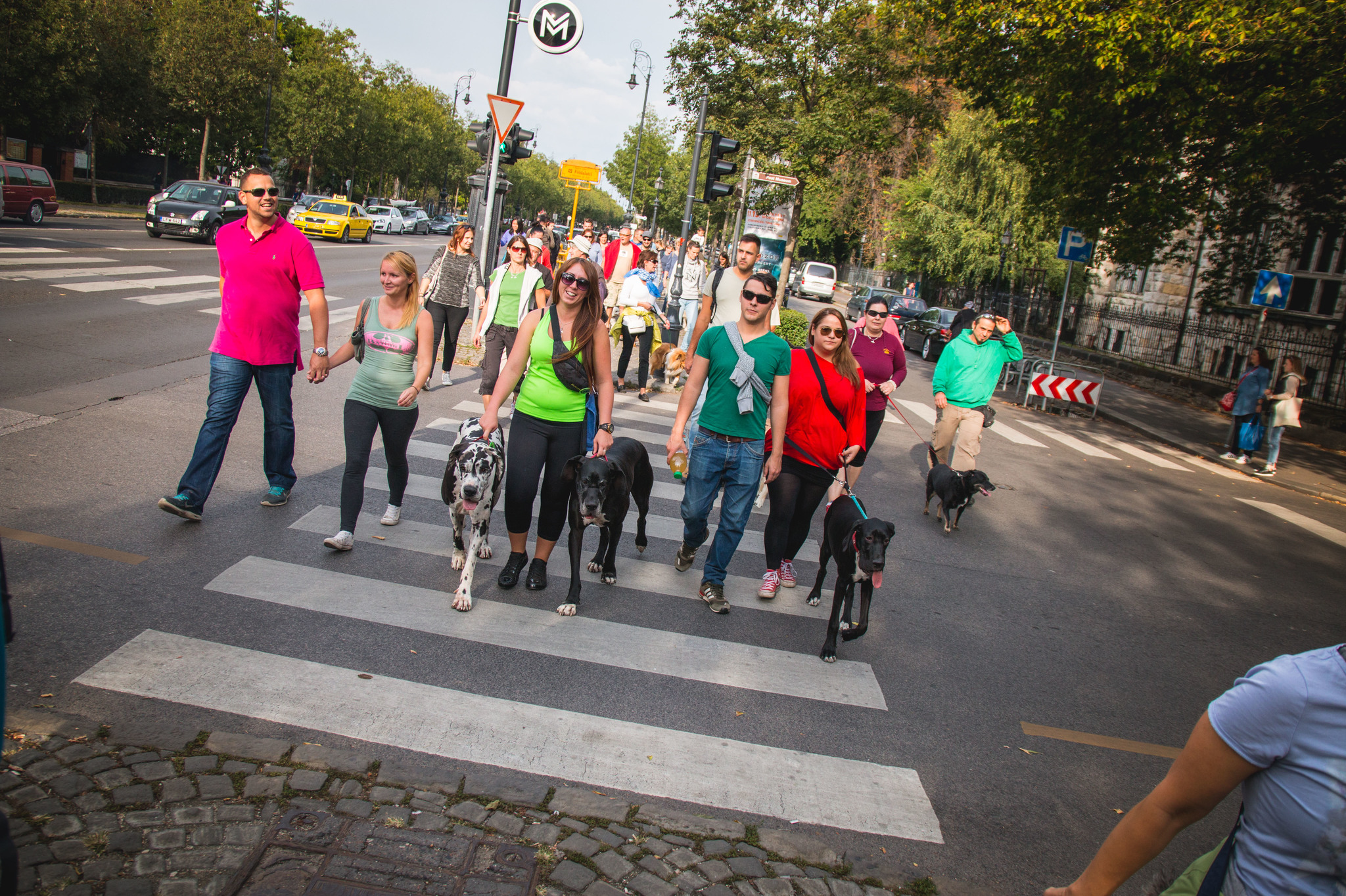 Felvonulás kutyákkal Felvonulás kutyákkal