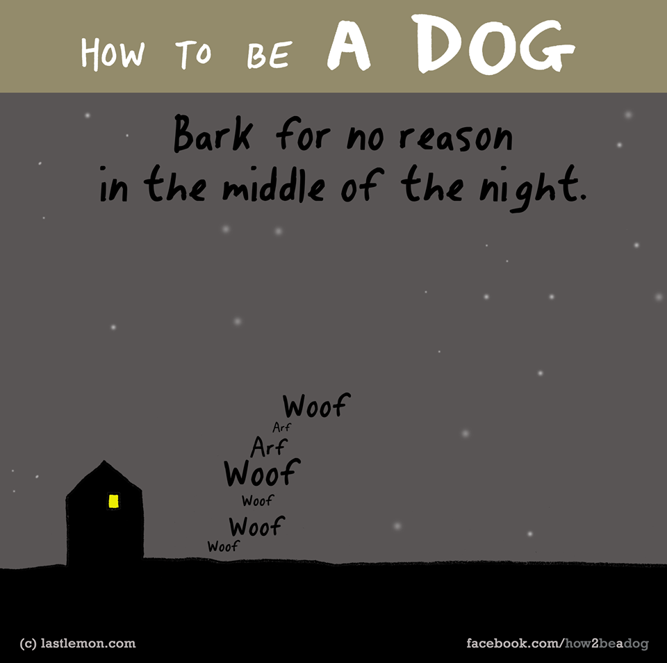 Ugass minden ok nélkül az éjszaka közepén! Ugass minden ok nélkül az éjszaka közepén!