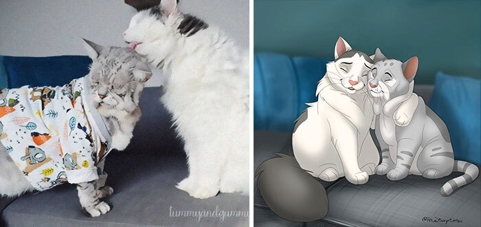 Pet Disneyfication 4