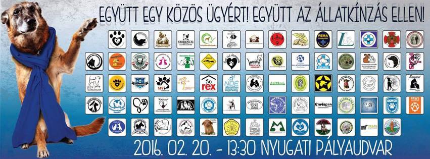 Együtt az állatvédelemért!