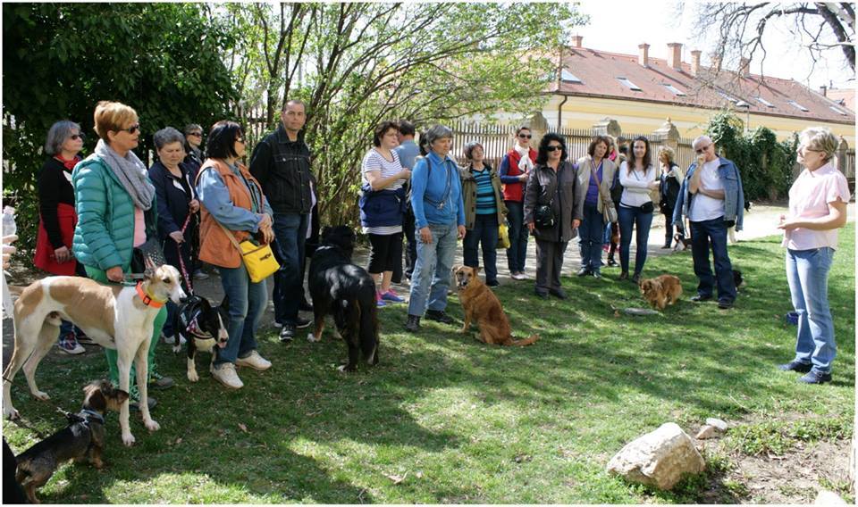 Korner Zsuzsanna beszédét mindenki figyelemmel hallgatta a pécsi hagyományőrző felvonuláson