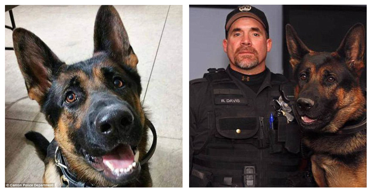 K9 Jethro és gazdája, Ryan Davis 