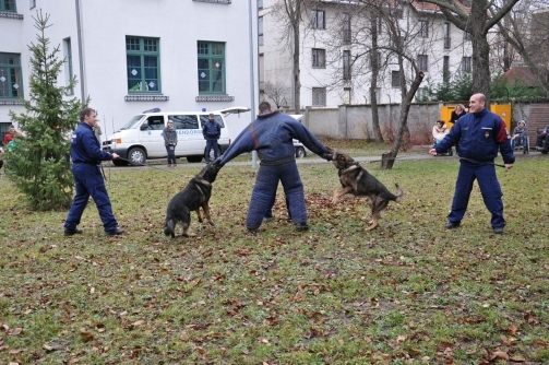 Morin és Jack, a két rendőrkutya bemutatója