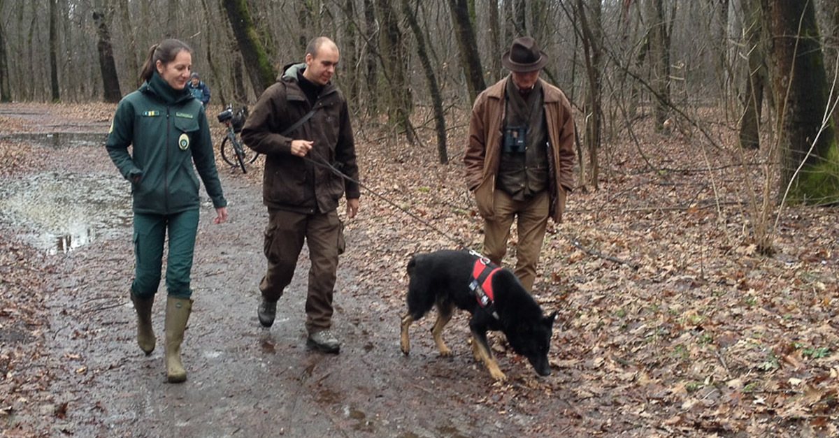 Kutya keresi a kihelyezett mérget
