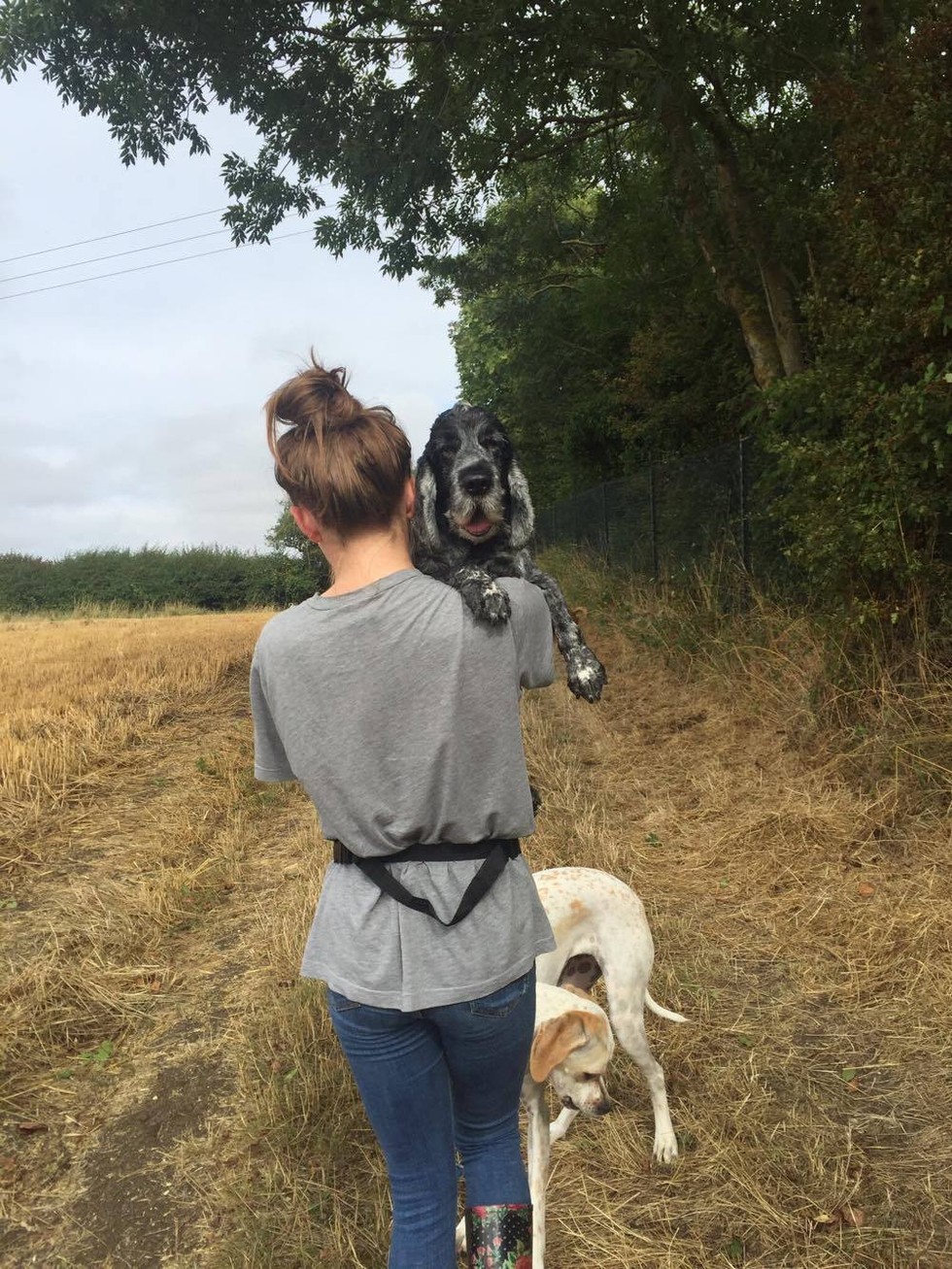 A sétákon már egyre gyakrabban szorult segítségre az öreg kutya