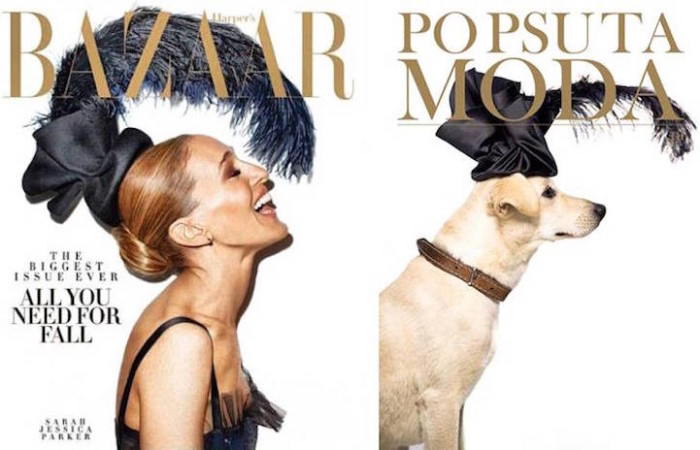 Kutya a címlapon 2 Kutya a címlapon 2