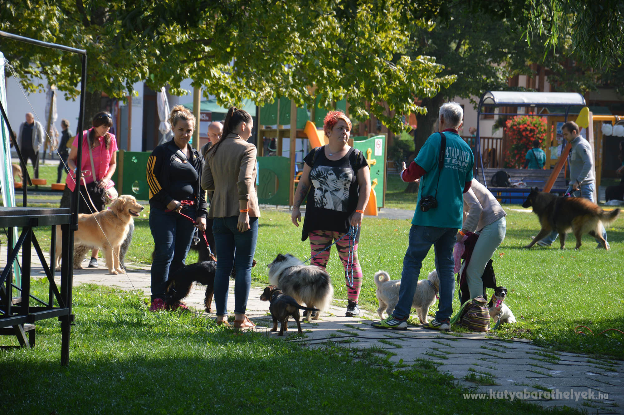 Gazdik a FALKAstrandon