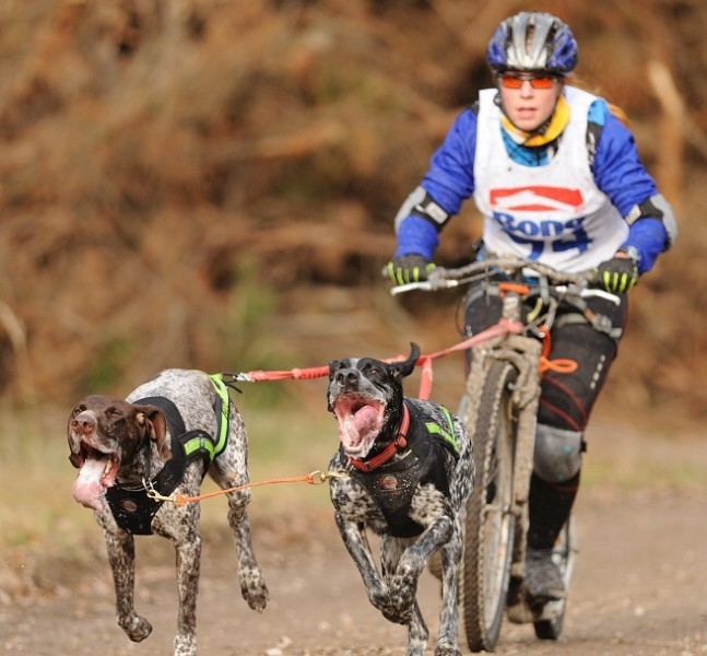 biciklizés kutyával