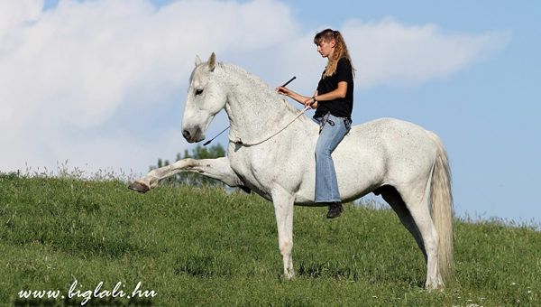 Tászler Melinda és gyönyörű lova is tart bemutatót