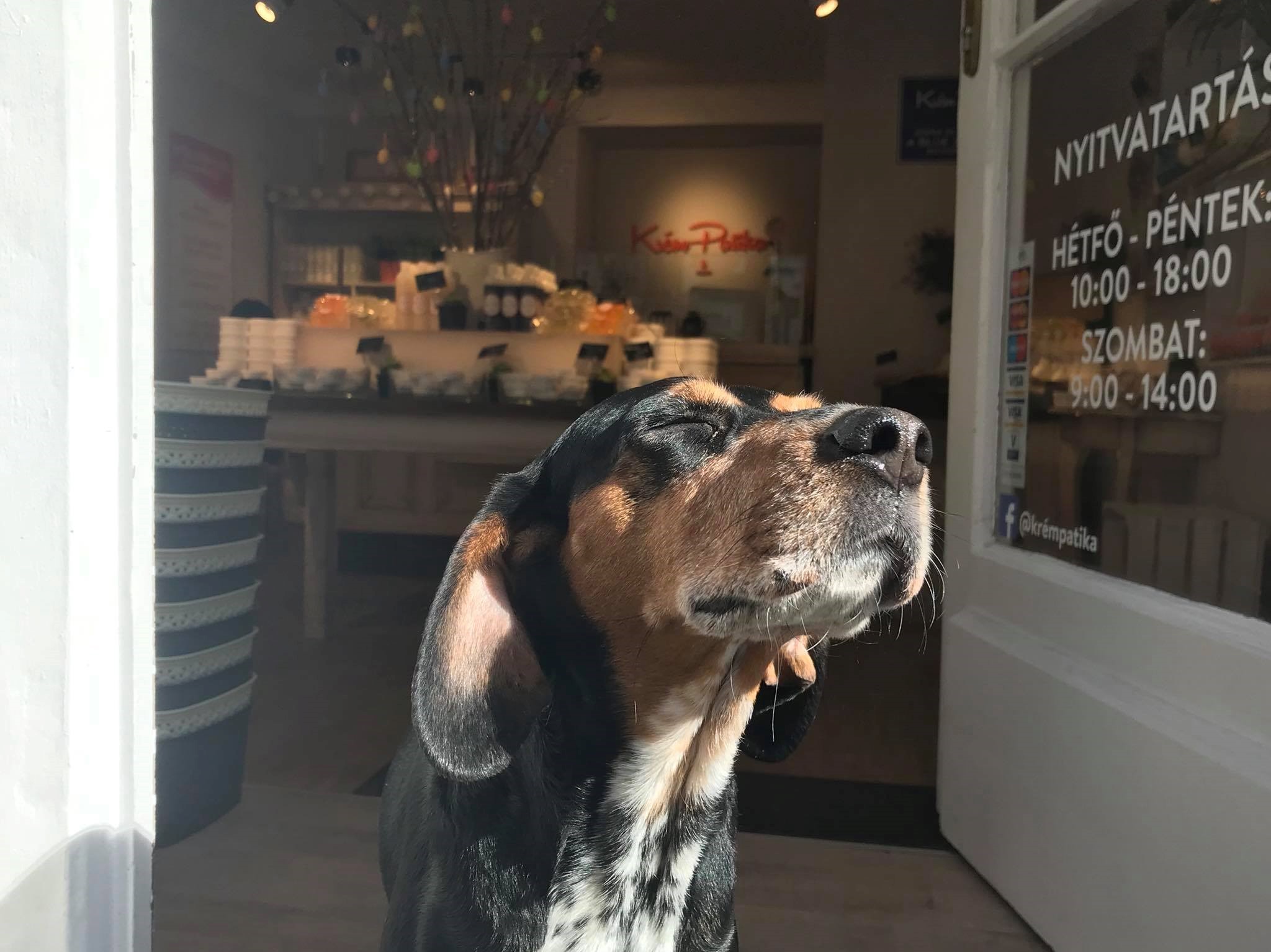 Kutyabarát Krém Patika Kutyabarát Krém Patika