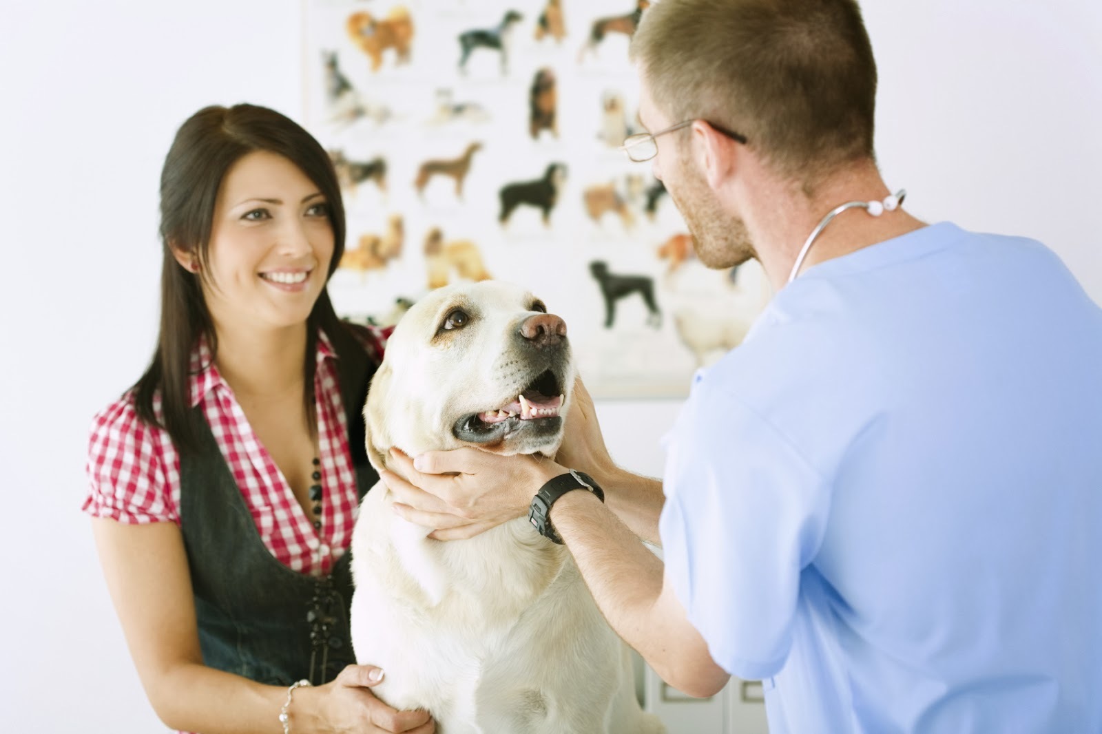 Érdemes nyugodtnak maradnunk a vizsgálat alatt