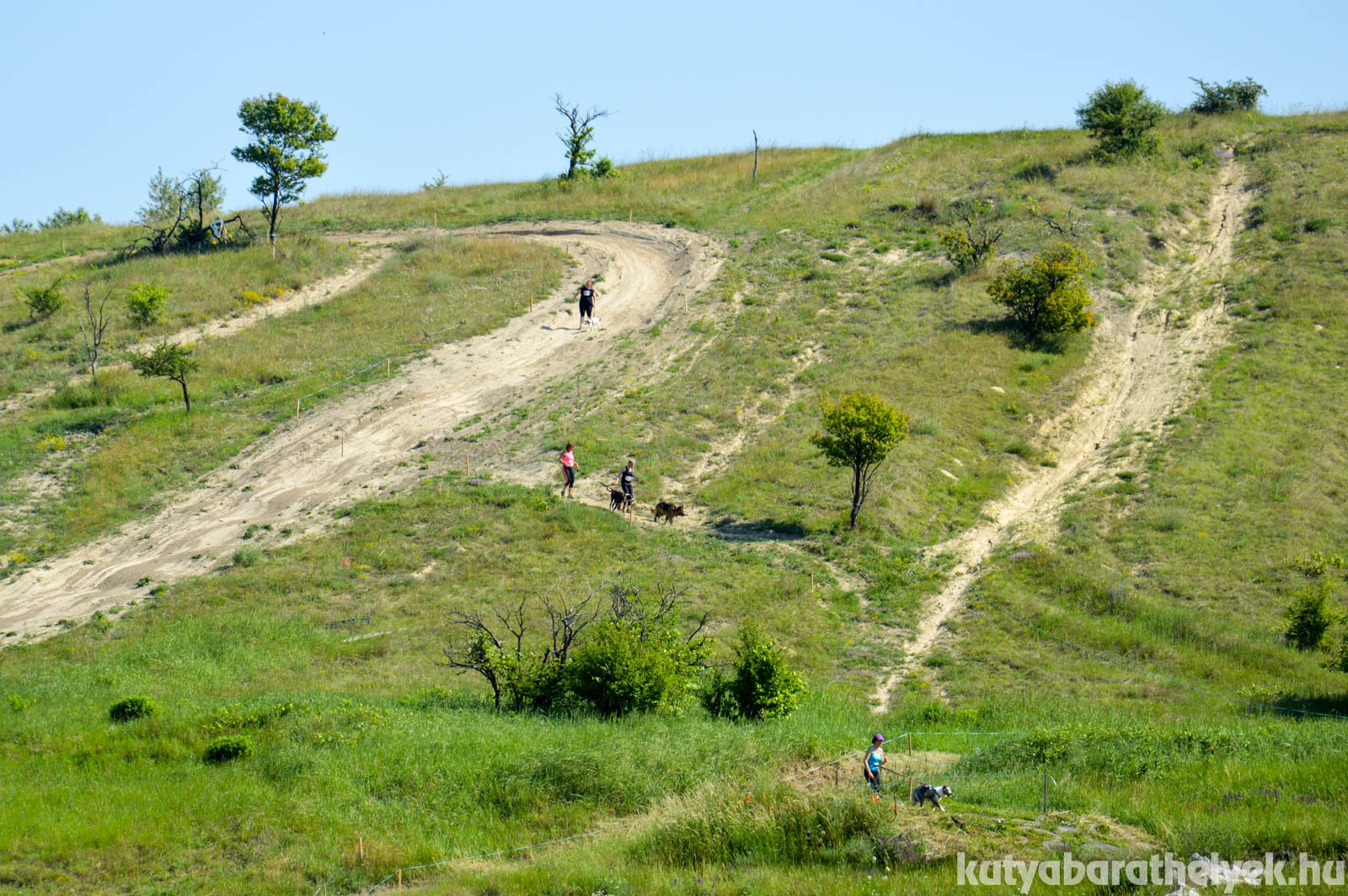 A meredek falak megmászása volt talán a legnehezebb a versenyen
